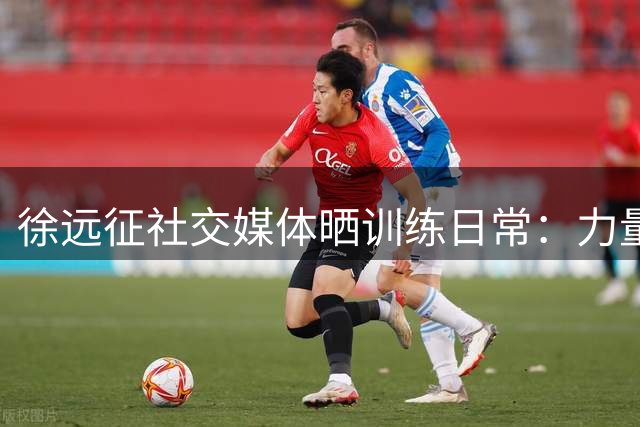 徐远征社交媒体晒训练日常：力量训练与点滴进步同行